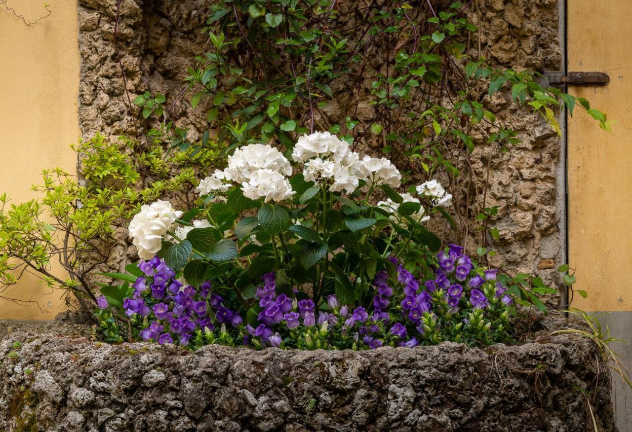 Residenza Il Villino B&B Floransa Dış mekan fotoğraf